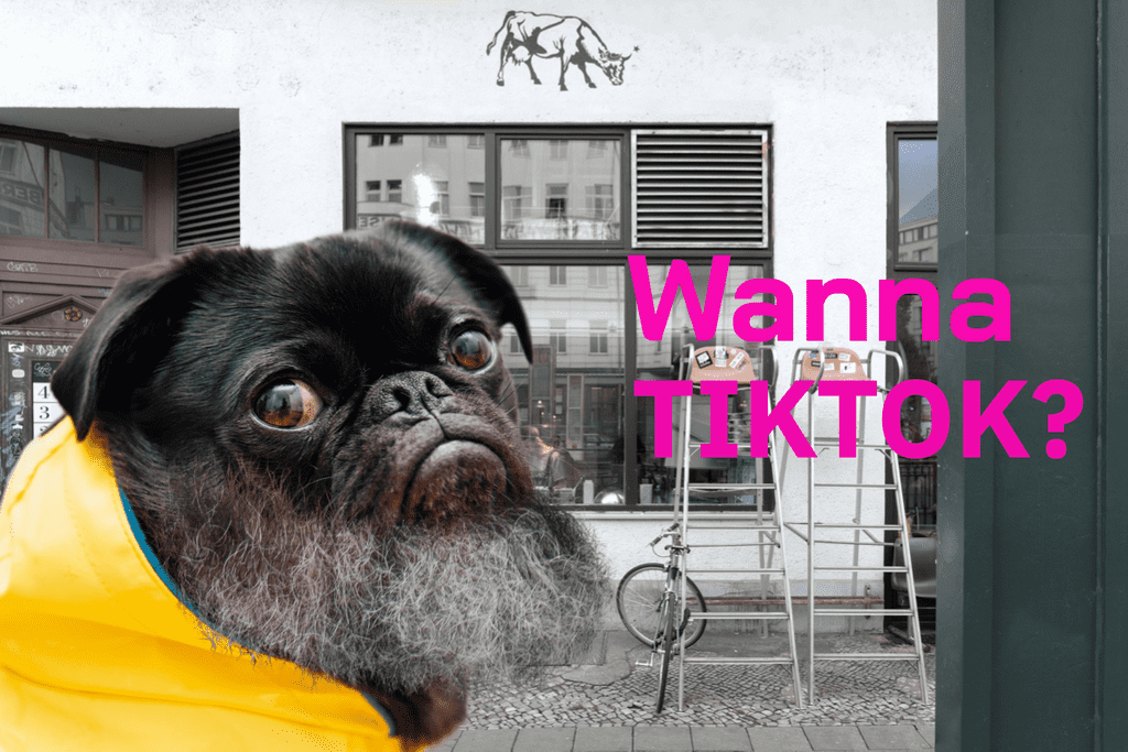 Wanna Tik Tok?