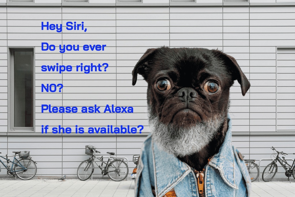 Audio Skills for the Voice Assistants